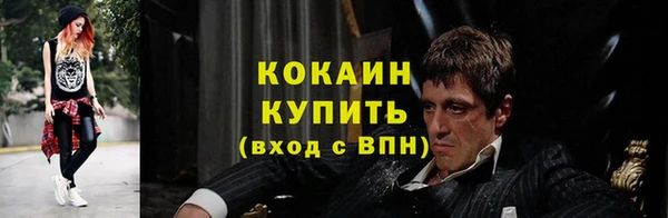 ПСИЛОЦИБИНОВЫЕ ГРИБЫ Вязники