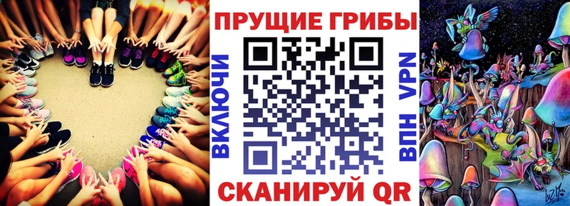 Псилоцибиновые грибы Psilocybine cubensis  Купить где  Аткарск 